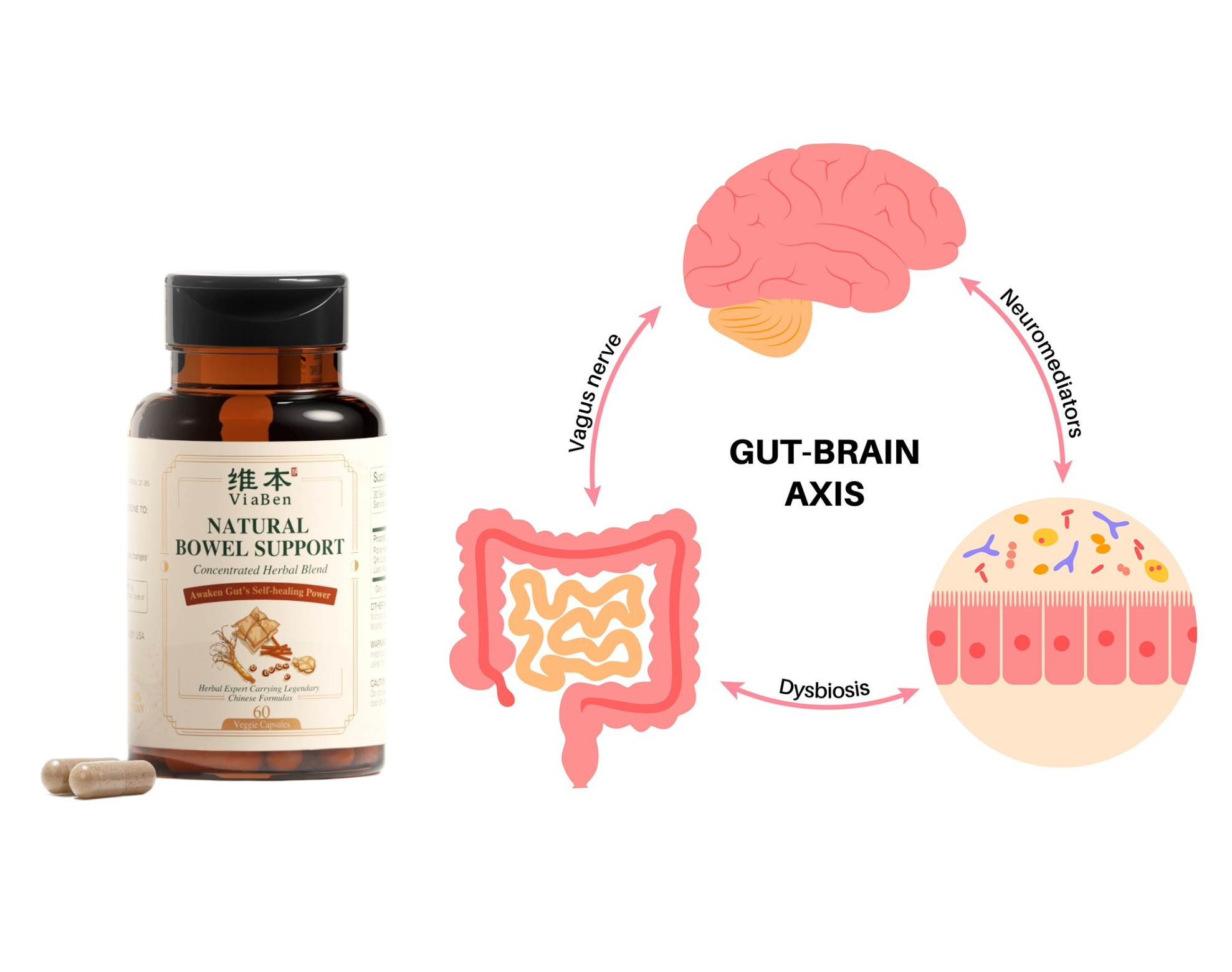 你的情绪，其实藏在你的肠道里
