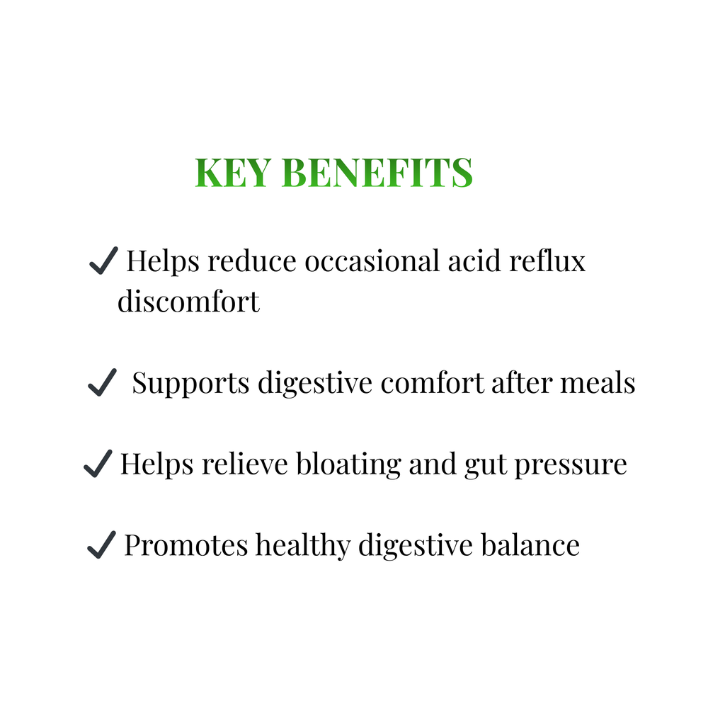 Gut Balance Reflux Support